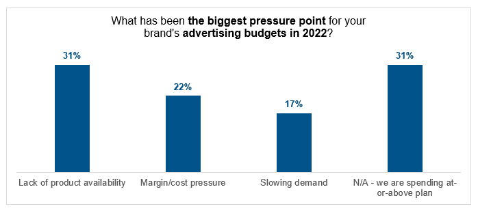 What has been the biggest pressure point for your brand's advertising budgets in 2022?