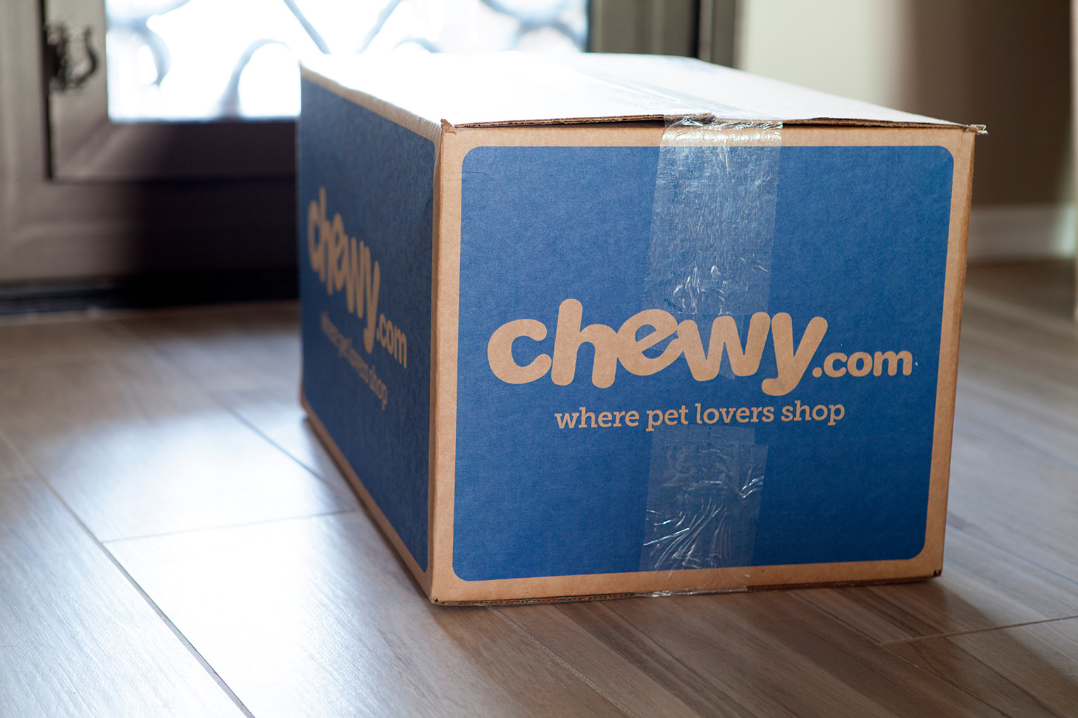 Pet Insights Webinar