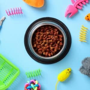 Pet Industry Outlook for 2025 - Pet Toys Background - Cleveland Research