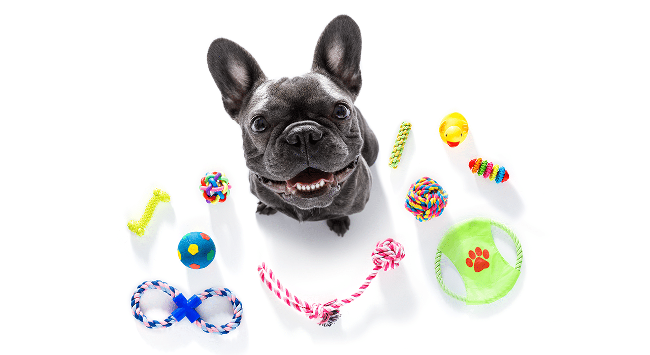 Pet Insights Team SuperZoo Event