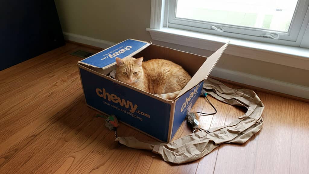 Pet Insights Webinar: Turning Q1 Trade Show Signals into 2026 Best Practices