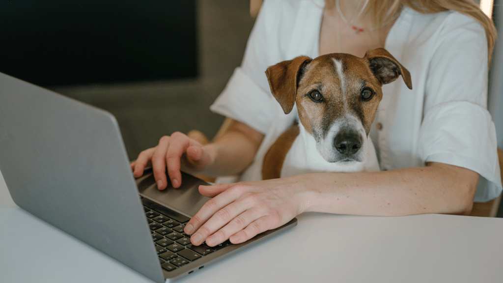 Establishing Your AI Visibility & Competitive Advantage in Pet
